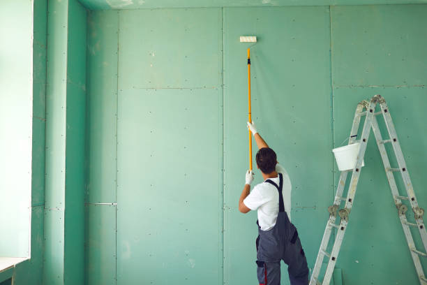 Best Attic Mold Removal  in Burbank, CA