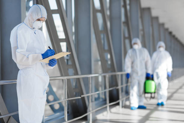 Best Mold Damage Restoration  in Burbank, CA
