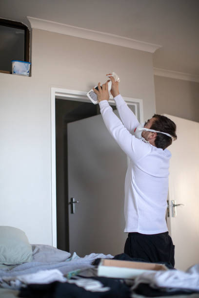Best Emergency Mold Remediation  in Burbank, CA