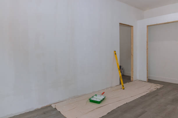 Best Attic Mold Removal  in Burbank, CA