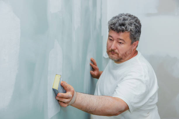 Mold Odor Removal Services in Burbank, CA