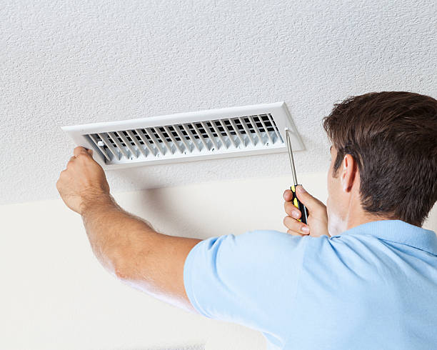 Trusted Burbank, CA Mold Removal Experts